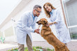 © LIGHTFIELD STUDIOS - happy veterinarians playing with dog on yard at veterinary clinic