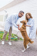 © LIGHTFIELD STUDIOS - two veterinarians playing with dog on yard at veterinary clinic