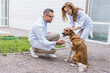 © LIGHTFIELD STUDIOS - female and male veterinarians palming dog on yard at veterinary clinic