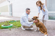 © LIGHTFIELD STUDIOS - two vets palming dog on yard at veterinary clinic
