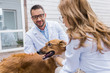 © LIGHTFIELD STUDIOS - two veterinarians palming dog at veterinary clinic