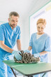 © LIGHTFIELD STUDIOS - veterinary surgeons palming british shorthair cat on table at veterinary clinic