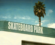 Aged And Worn Skateboard Park Sign With Palm Trees