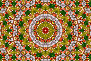 Organic abstract kaleidoscope pattern background