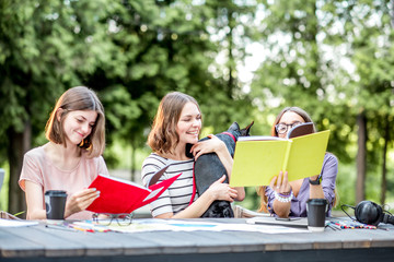 Wall Mural - Young friends dressed casually studying with colorful books sitting at the table outdoors in the park