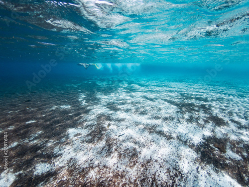 Underwater Sea Floor With In Background A Man Snorkeling Buy