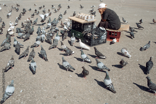 Old Lonely Woman Feeding Birds In The Center Of The Big City Feeding The Pigeons Elderly Woman Feeding Pigeons On The Street Concept Of Kindness Stock Photo Adobe Stock