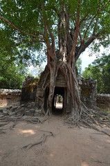 Canvas Print - cambodia ancient hindu temple angkor ruins stone asia