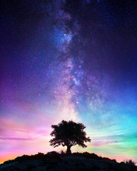 Wall Mural - starry night - lonely tree with milky way