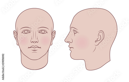 Photographie Hand drawn androgynous, gender-neutral human head in face and profile