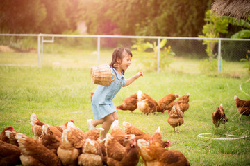 Wall Mural - Happy little girl feeding chickens in front of chicken farm. Summer activities for kids.