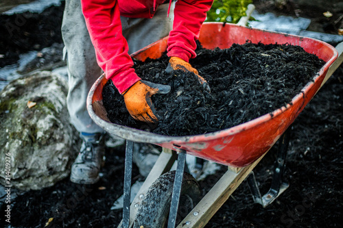 Fotografía Man using his hands to take a load of wood chips inside a wheelbarrow as part of