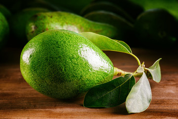 Canvas Print - Closeup view of bright green fresh ripe avocado with leaves