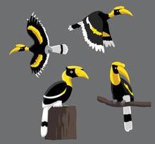Bird Poses Great Hornbill Vector Illustration