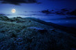 © Pellinni - rocks on grassy hillside of the mountain at night