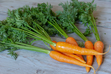 fresh, clean carrots