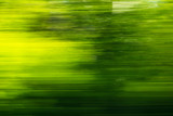Fototapeta Sport - Nature in motion from the train window