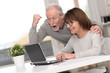 © thodonal - Happy mature couple having a good surprise on laptop