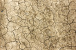 Withered grayish brown ground texture