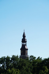 church tower above treetops