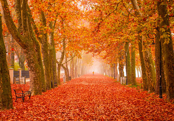 nice autumnal scene at lake balaton