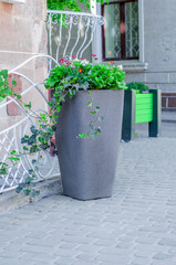 High concrete street vase for flowers