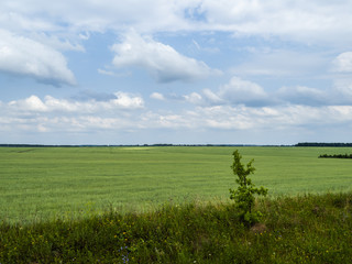 Ryazan region, Russia