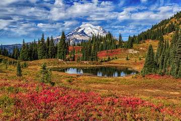 Wall Mural - Tipsoo Lake at Mt Rainier National Park