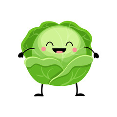 Cabbage  vector illustration in flat style  isolated on white ba