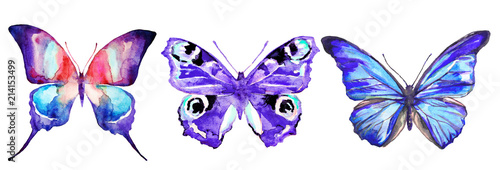 Naklejka na szybę beautiful color butterflies, set, watercolor, isolated on a white