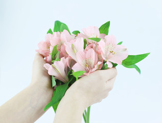 bouquet of flowers in female hands isolated on a light backgrou