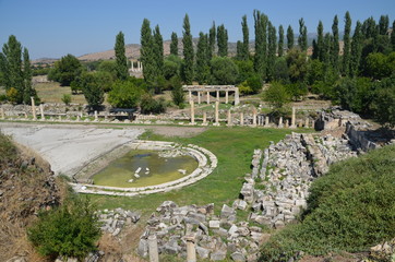 Wall Mural - Aphrodisias ancient greek city tyrkey caria ruins marble