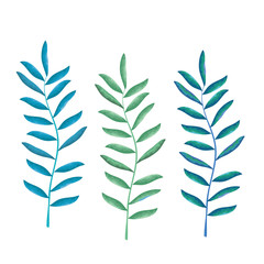  set leafs plant icons vector illustration design