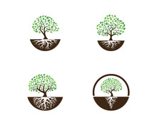 Logos Of Green Tree Leaf