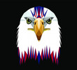 Low poly triangular  bald eagle head  in the colors of the American flag on dark background, symmetrical vector illustration EPS 10 isolated.  Polygonal style trendy modern logo design.