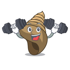 Wall Mural - Fitness spiral shell character cartoon