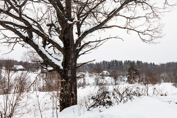 Sticker - winter landscape of old little russian village