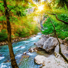 Beautiful View Of Mountain River In Summer. Mountain River In The Forest. Abkhazia. Beutiful Landscape