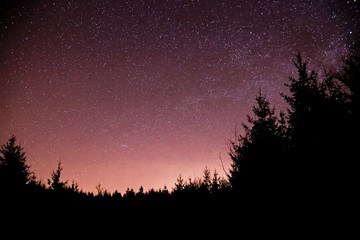 dark night starry sky with blue milky way, pink, blue, mauve, magenta colors, silhouettes of trees o