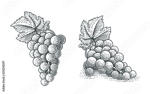Grapes. Hand drawn engraving style illustrations. Tableau sur Toile