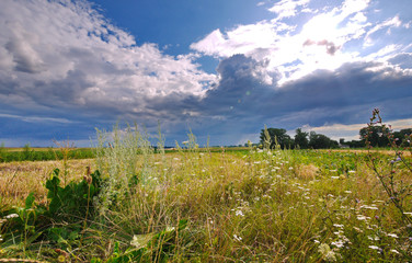 Wall Mural - thick clouds in the blue sky over the fields behind the village