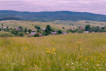 Wall Mural - modest houses of the Carpathian village in the valleys near the green mountains