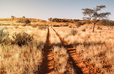 kalahari path