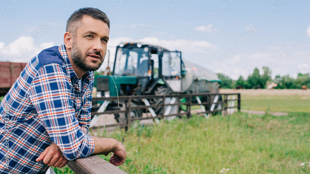 handsome middle aged farmer leaning at fence and looking away at farm - obrazy, fototapety, plakaty 