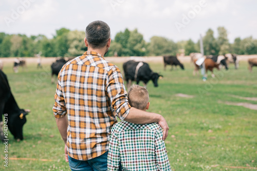 Cuadros en Lienzo back view of father and son standing together and looking at cows grazing on far