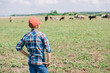 © LIGHTFIELD STUDIOS - back view of boy in cap standing and looking at cows grazing in field