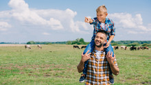 Happy Father Carrying Smiling Son On Neck And Looking Away In Field