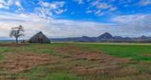 Barn With Distance View Of The Sutter Buttes Mountains