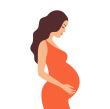 Simple Cute Colorful Vector Illustration Of Pregnant Brown Hair Woman In Orange Dress On White Background. Vector Illustration