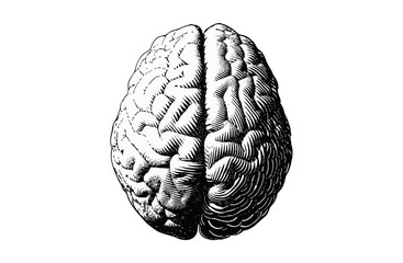 Monochrome drawing brain vintage style